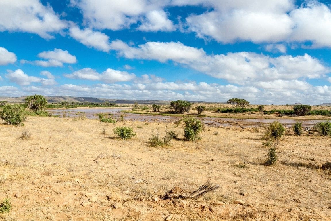 Tsavo West National Park - Wildebeest Sightings