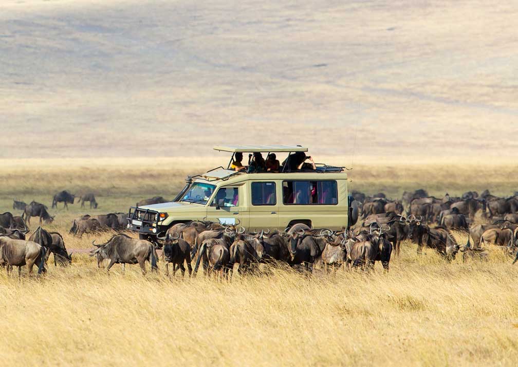 Serengeti Central
