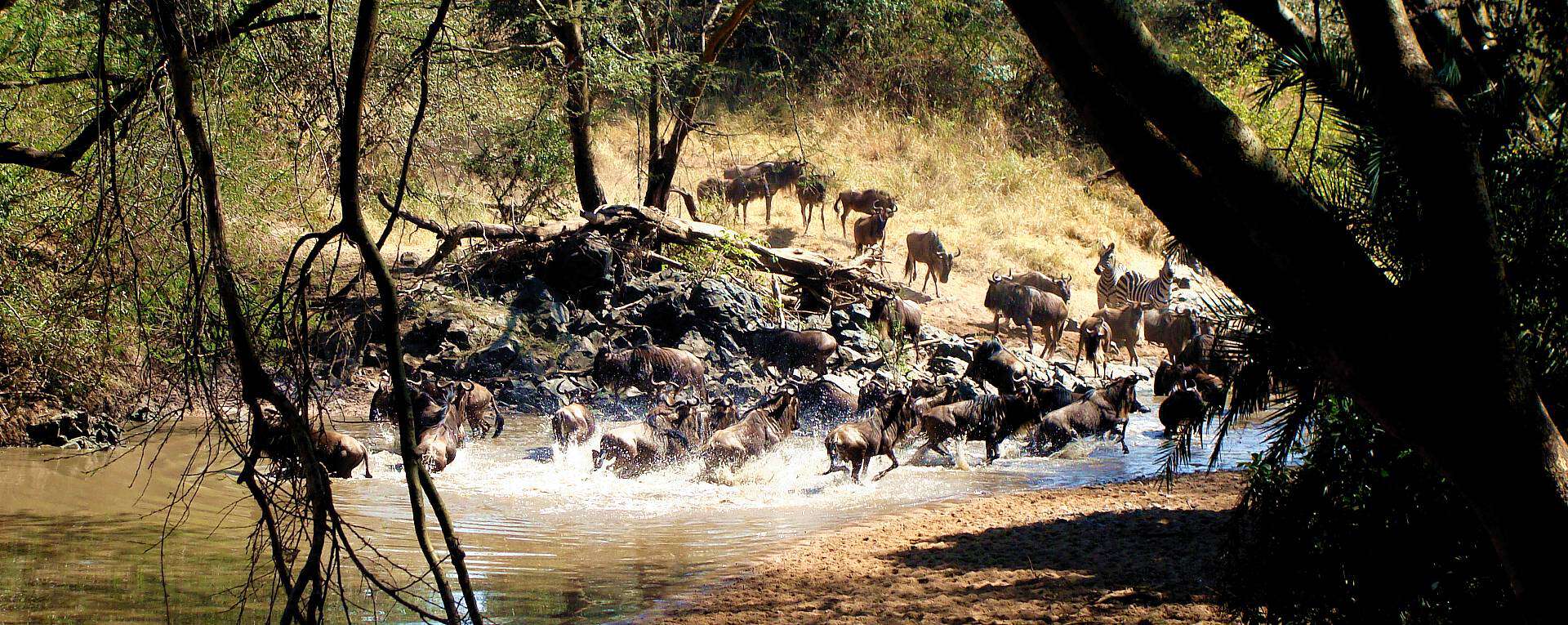 Serengeti West