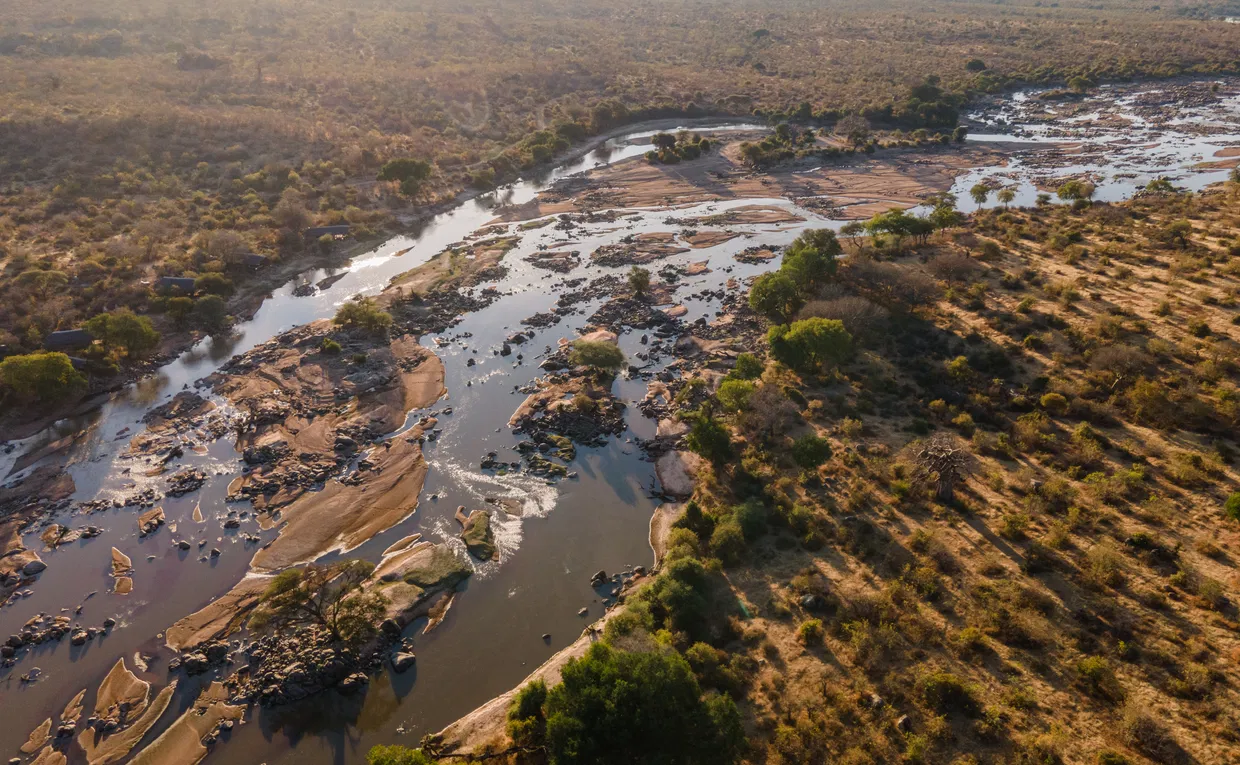 Ruaha National Park - Wildebeest Sightings