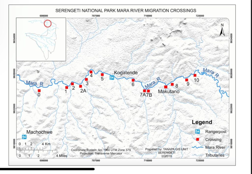 Wildebeest Migration Crossing Points in Serengeti National Park - Popular Wildebeest Crossing Points in Serengeti - Wildebeest Migration Crossing Points of Masai Mara - Map by Tanapa Wildebeest Sightings