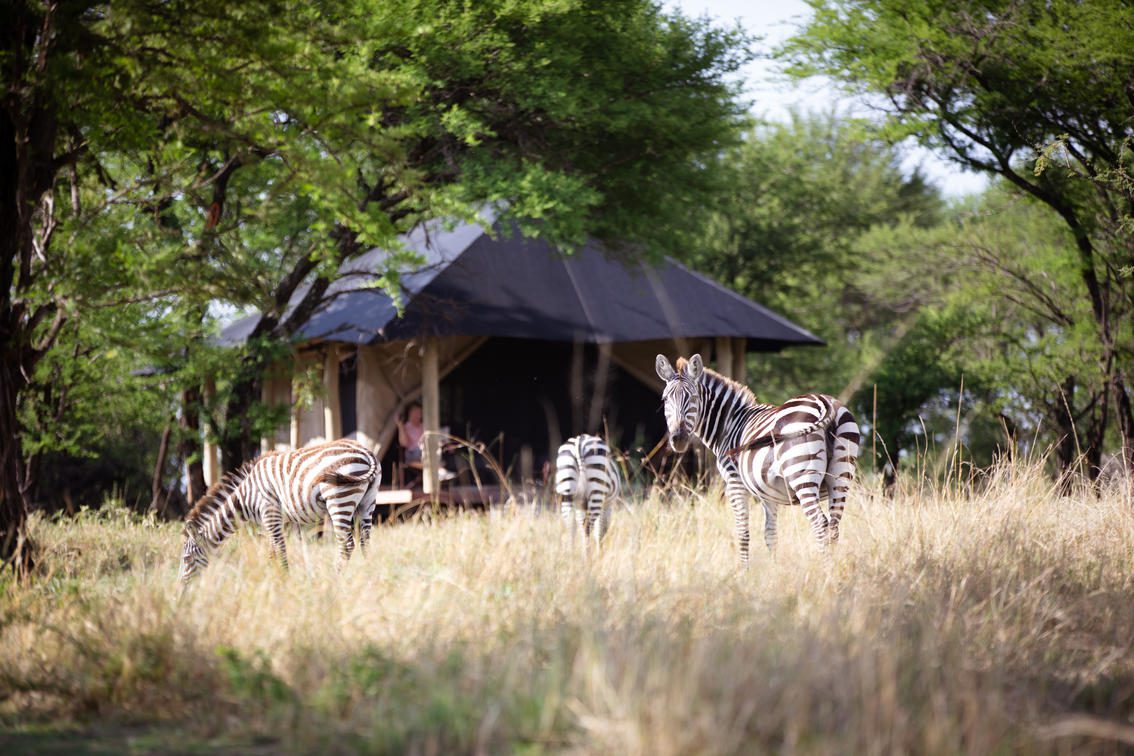 Serian Serengeti Mobile, Lamai