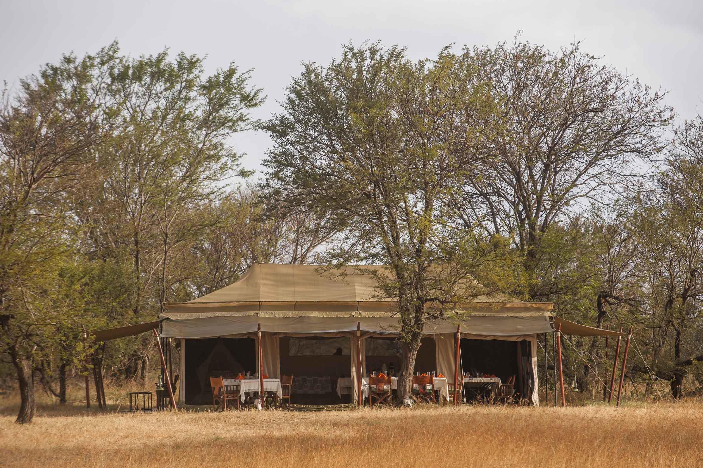 Ndutu Under Canvas Tented Camp
