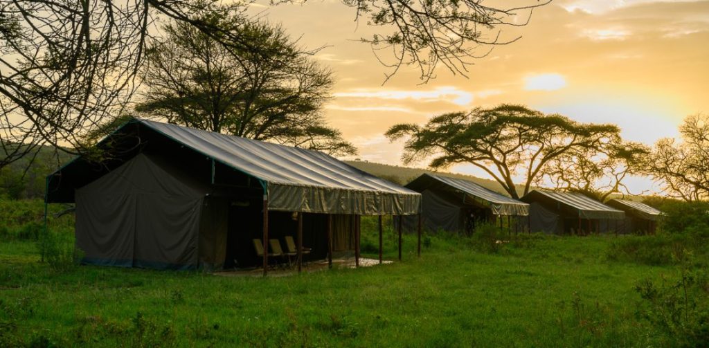 Serengeti View Camp