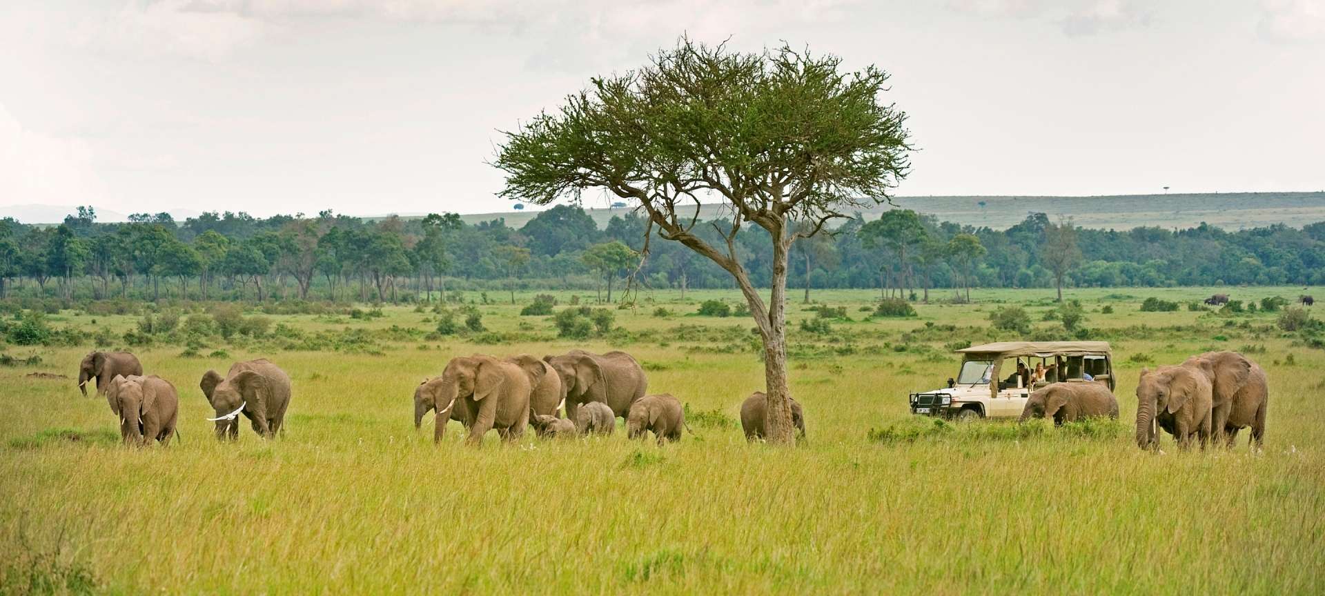 Masai Mara National Reserve - Maasai Mara National Reserve