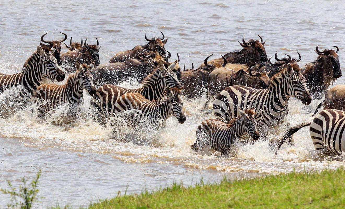 Grumeti Conservation Area