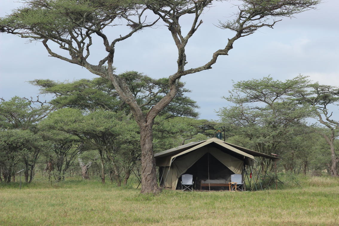 Ndutu Wilderness Camp