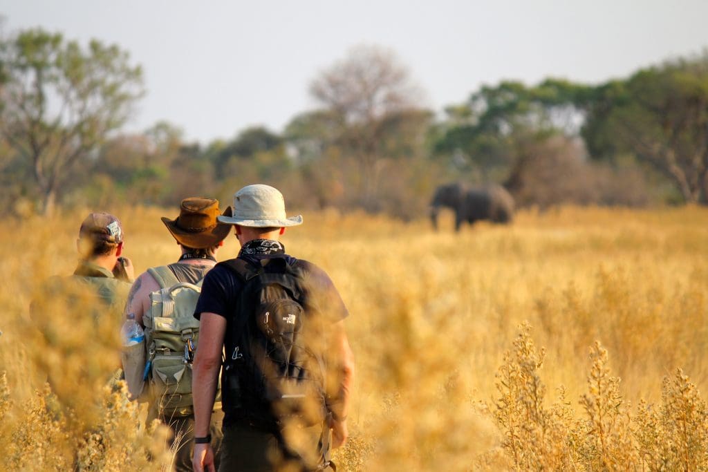 What to Pack for an african safari