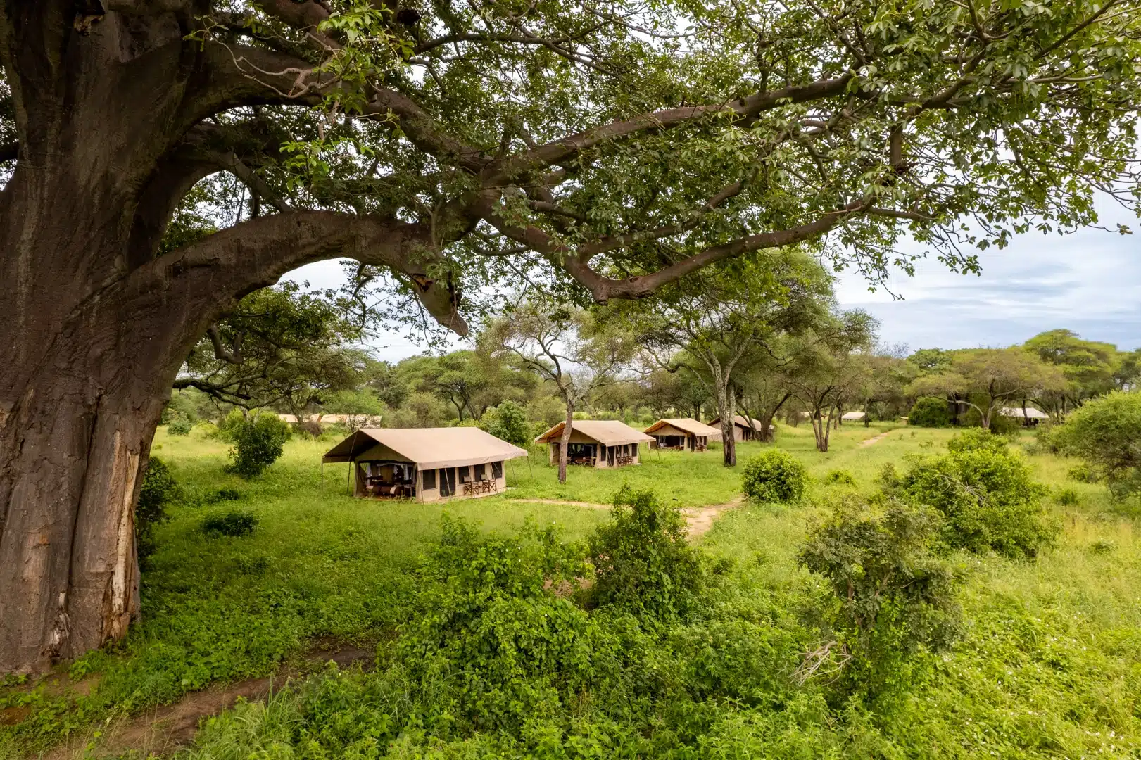 Baobab Central Camp