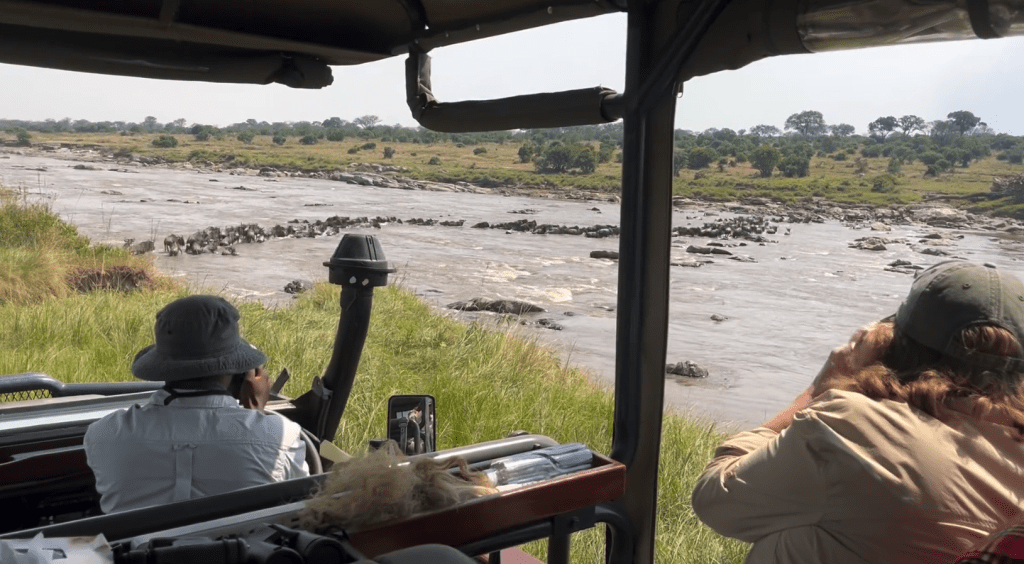 First 2024 Wildebeest Crossing is Currently in Kogatenge