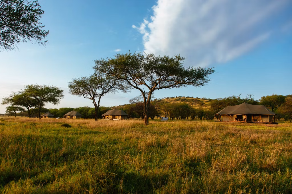 Cherero Camp