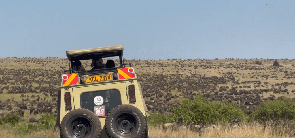 The Wildebeest herds fill up Masai Mara