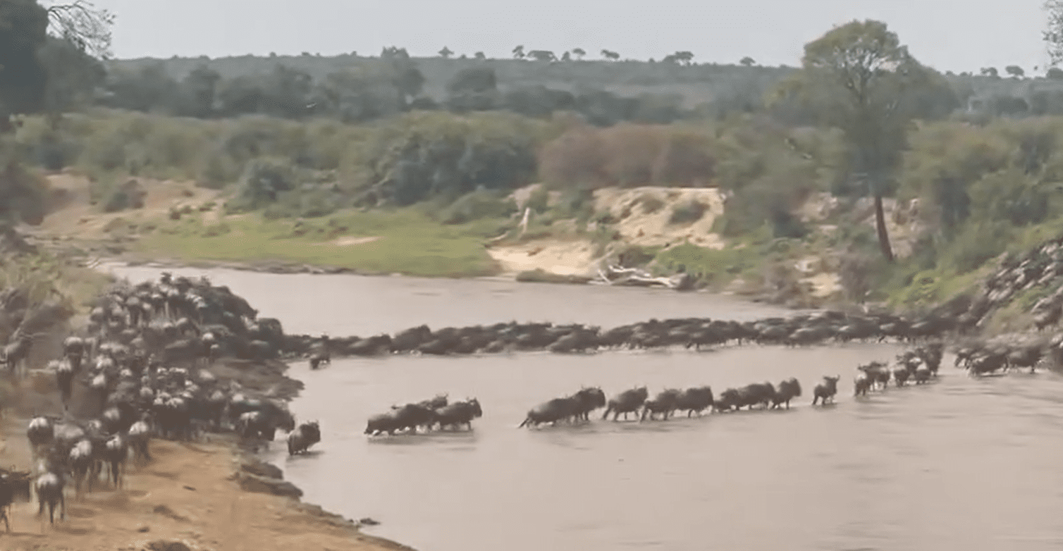 Another crossing of the Sand River Serengeti heading north