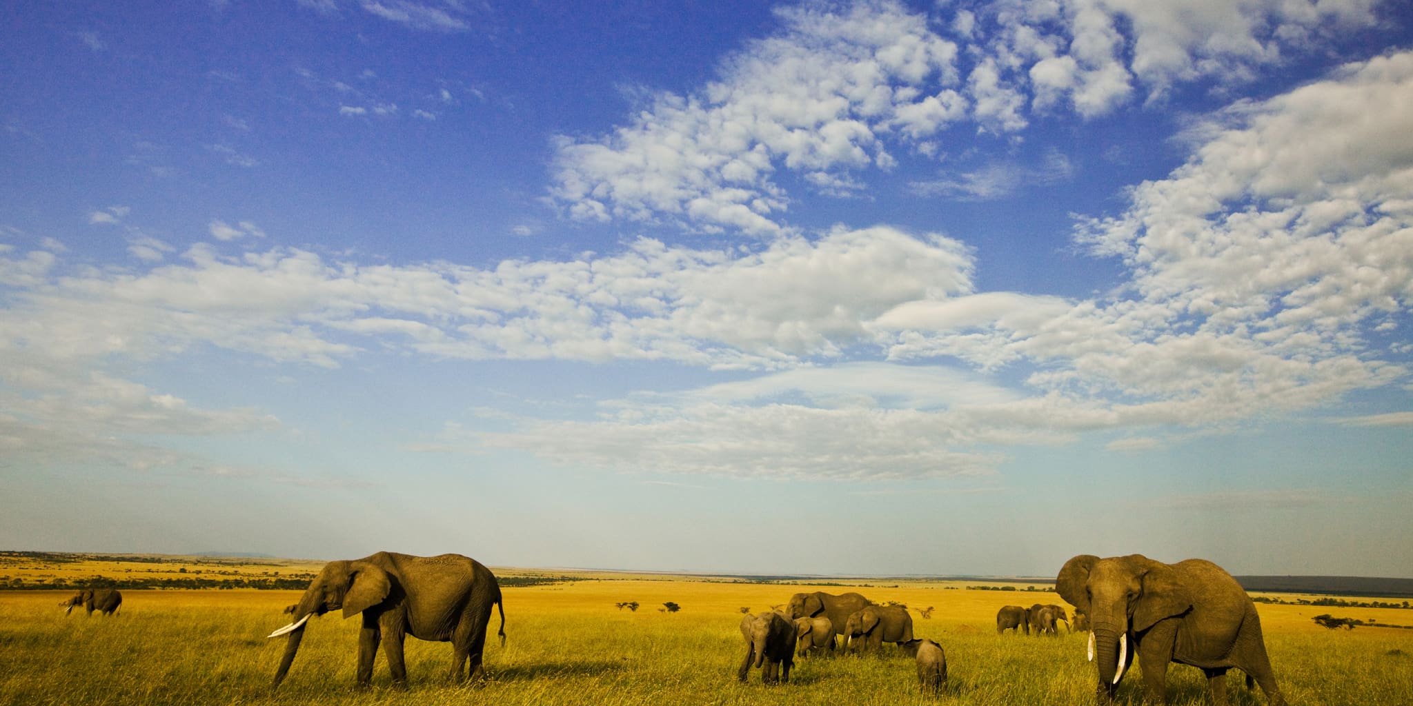 Olare Motorogi Conservancy