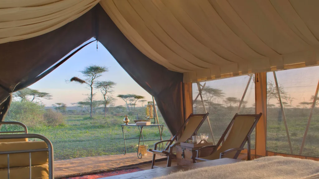 Best Camps for Witnessing the Great Migration
