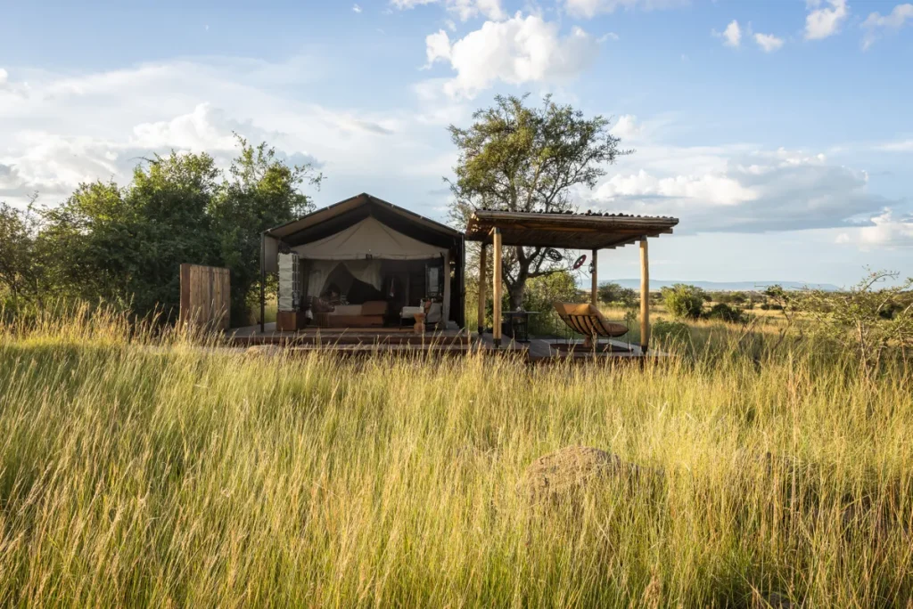 Best Camps for Witnessing the Great Migration