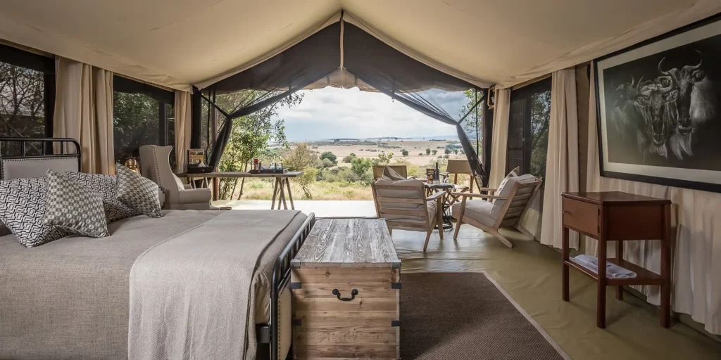 Best Camps for Witnessing the Great Migration