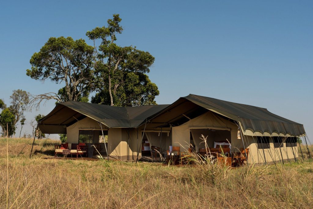 Best Camps for Witnessing the Great Migration