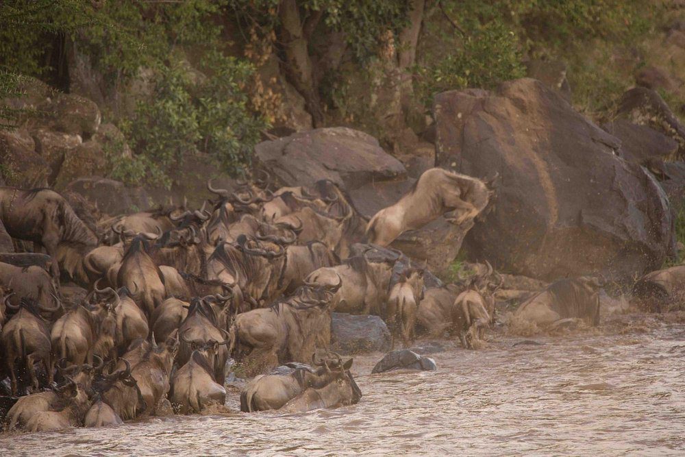 Ol Kinyei Conservancy