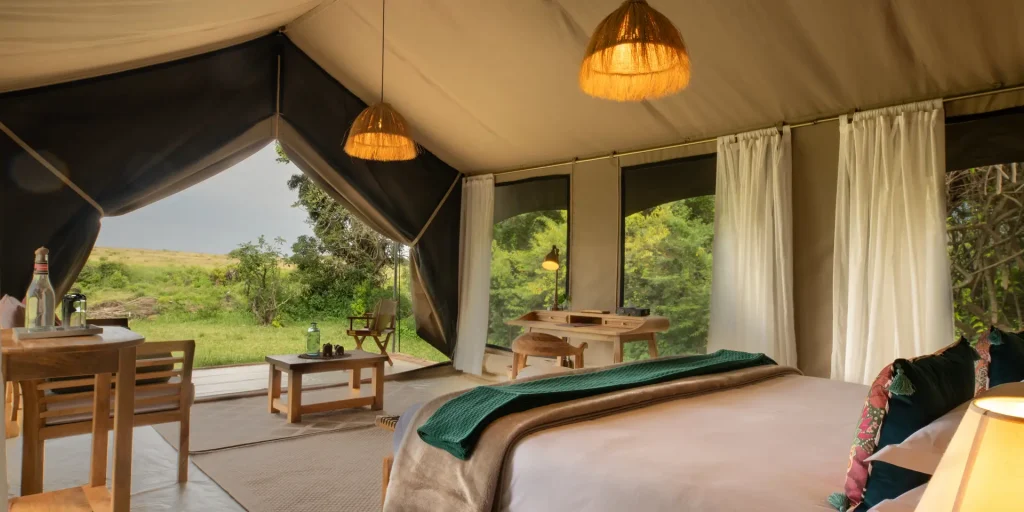 Best Camps for Witnessing the Great Migration