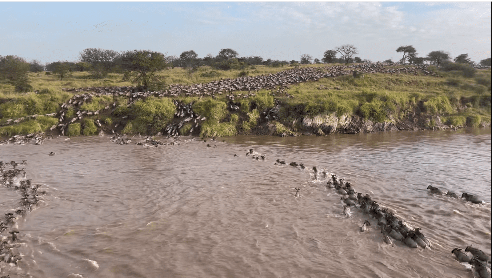 Crossings continues in Serengeti Mara River
