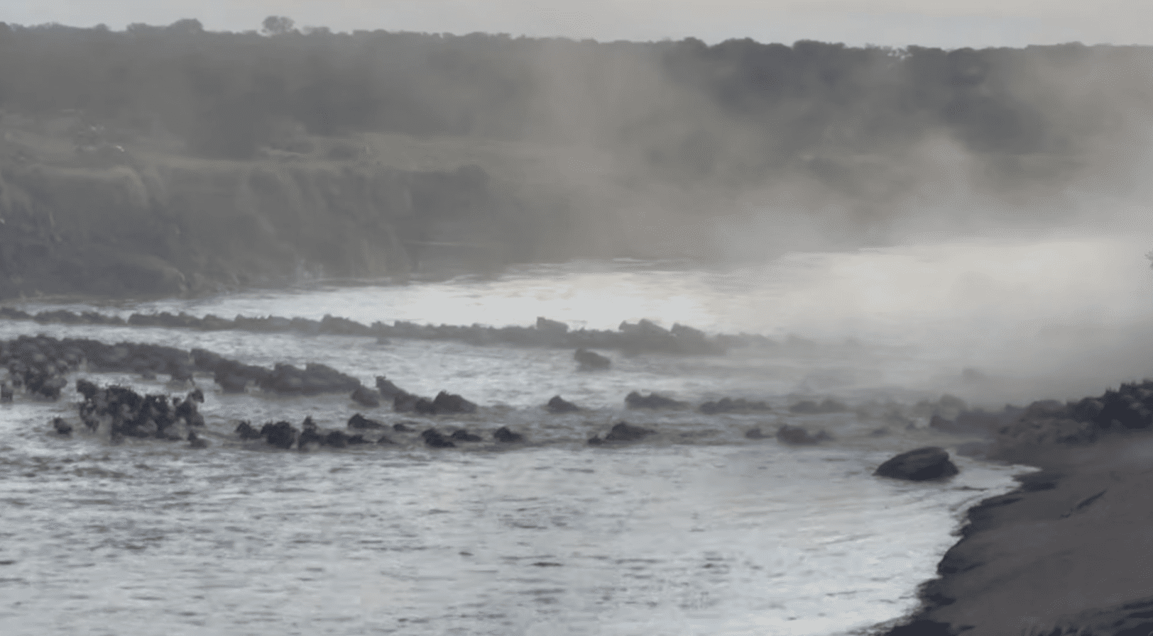 Wildebeest Migration Crossings - Wildebeest Crossings