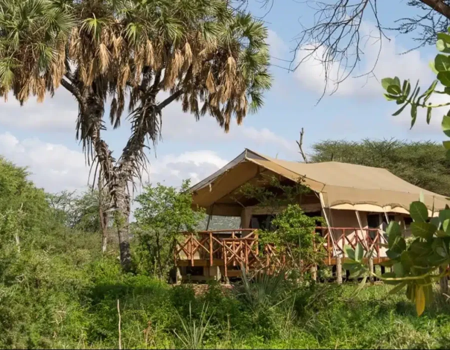 Samburu Camps and Lodges