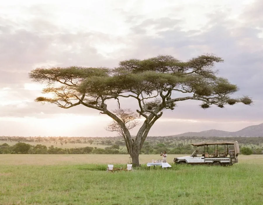 Roving Bushtops Wildebeest Migration - Serengeti Wildebeest Migration - best time to go for an african safari