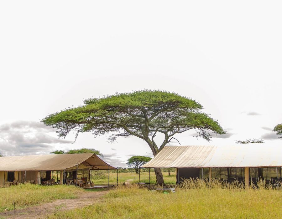 Serengeti Camps and Lodges - Central Serengeti Camps and Lodges - Tanzania Camps and Lodges