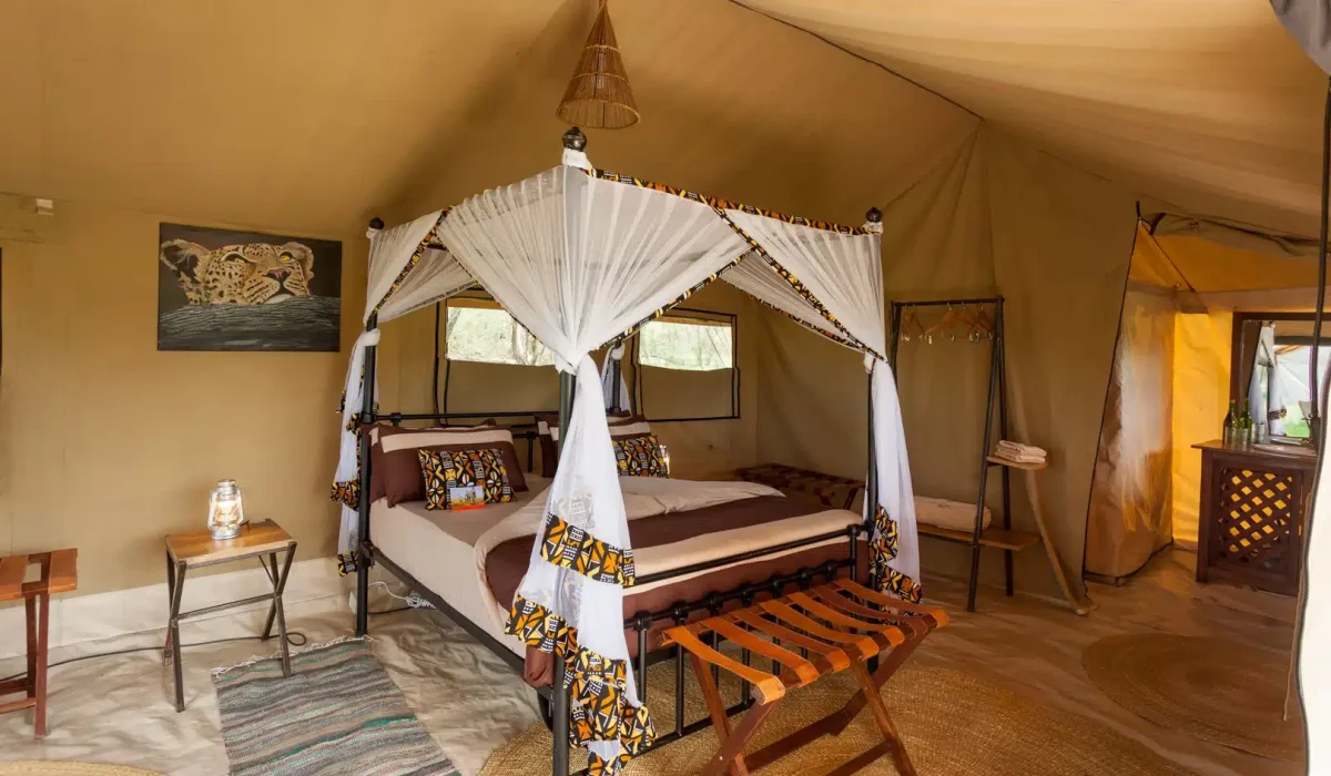 Gnu Ndutu Camp