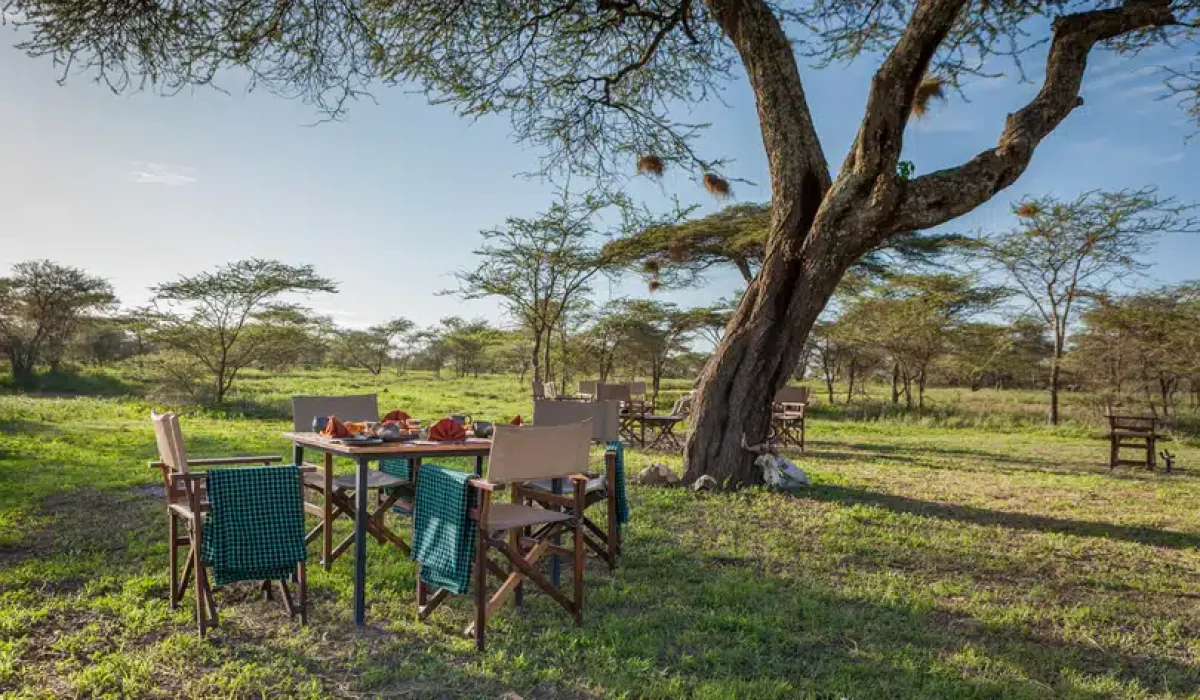 Gnu Ndutu Camp