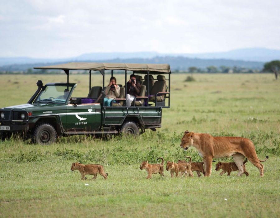 Serengeti National Park - Serengeti Safaris - Tanzania Safaris - Wildebeest Sightings