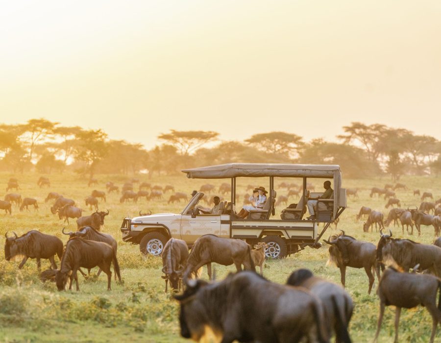 Roving Bushtops Wildebeest Migration - Serengeti Wildebeest Migration - best time to go for an african safari