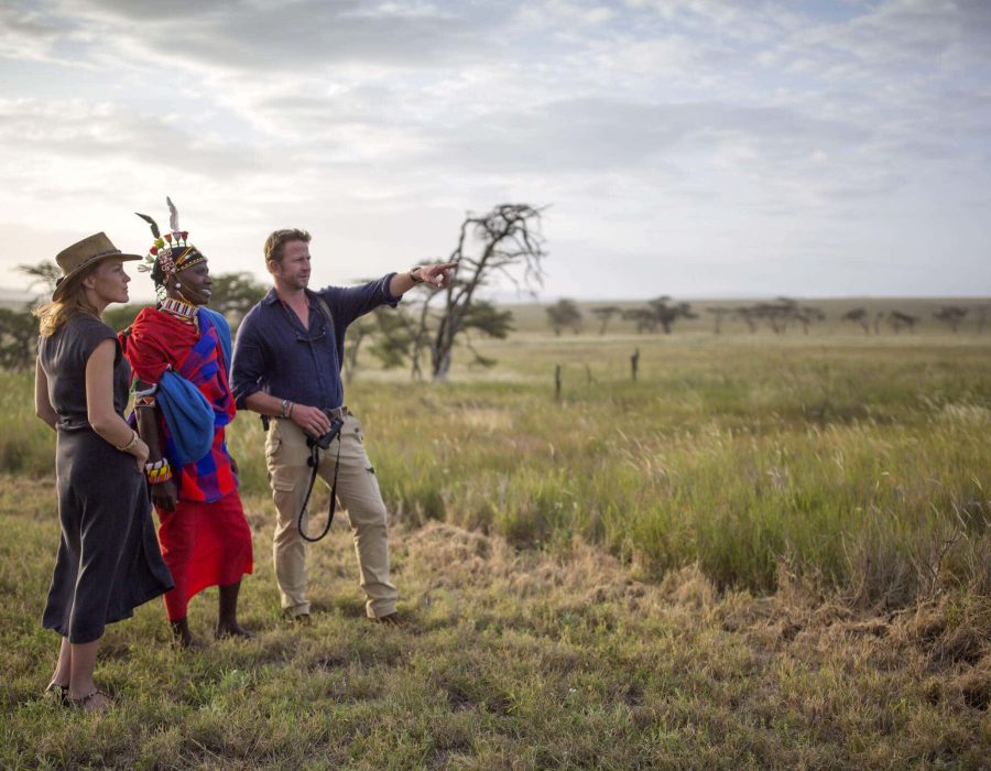 Kenya safaris in January to March - Best time to visit Kenya - Wildebeest Sightings