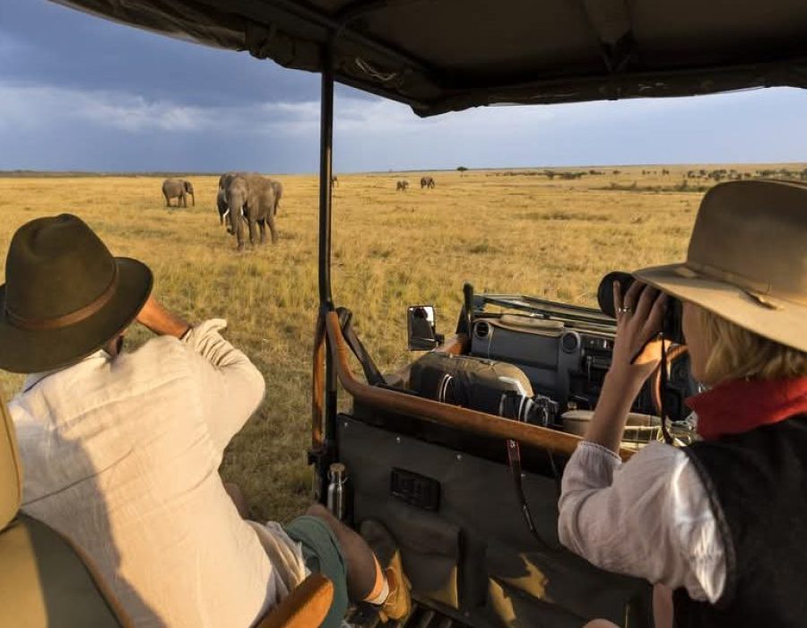 Kenya safaris in January to March - Best time to visit Kenya - Wildebeest Sightings