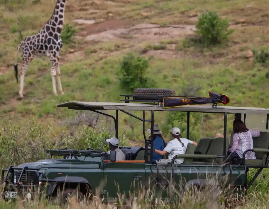 Kenya safaris in January to March - Best time to visit Kenya - Wildebeest Sightings