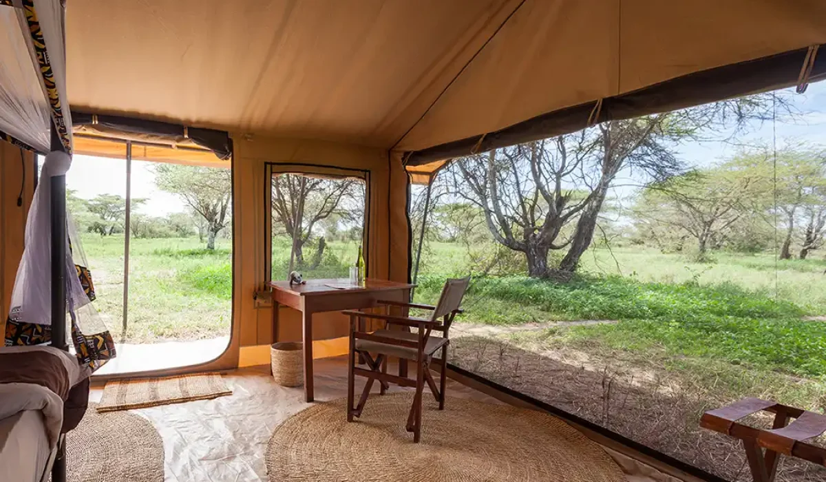 Gnu Ndutu Camp