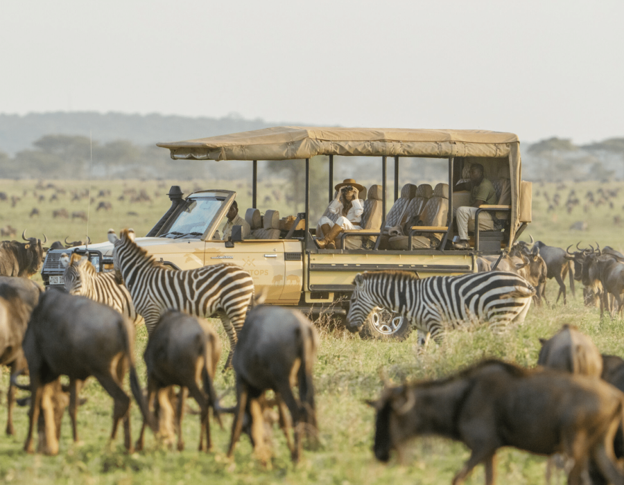 Tanzania Wildebeest Safaris - Wildebeest Migration Calving - Wildebeest Sightings