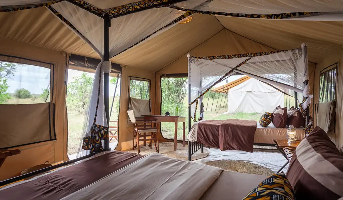 Gnu Ndutu Camp