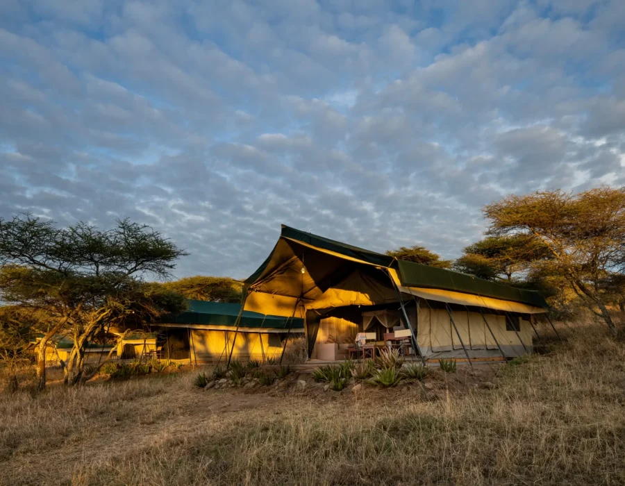 Ndutu Camps and Lodges