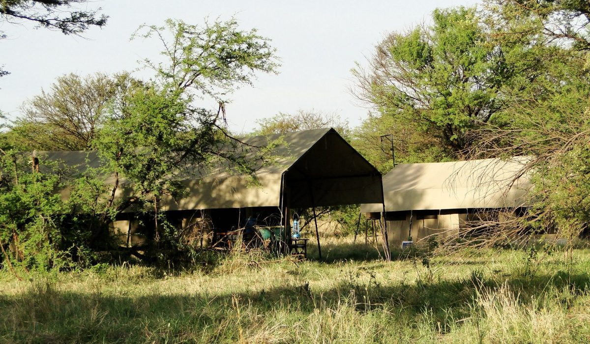 Bologonya Under Canvas Camp