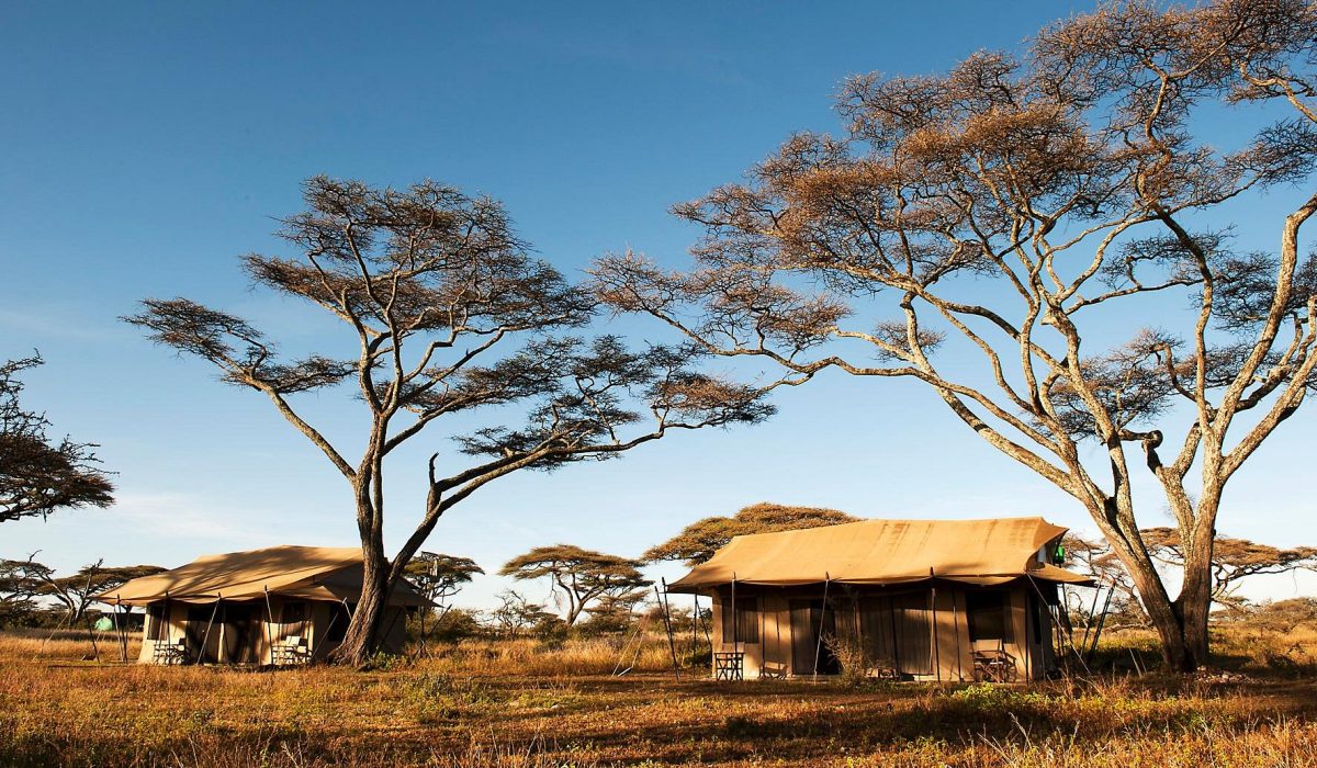 Bologonya Under Canvas Camp