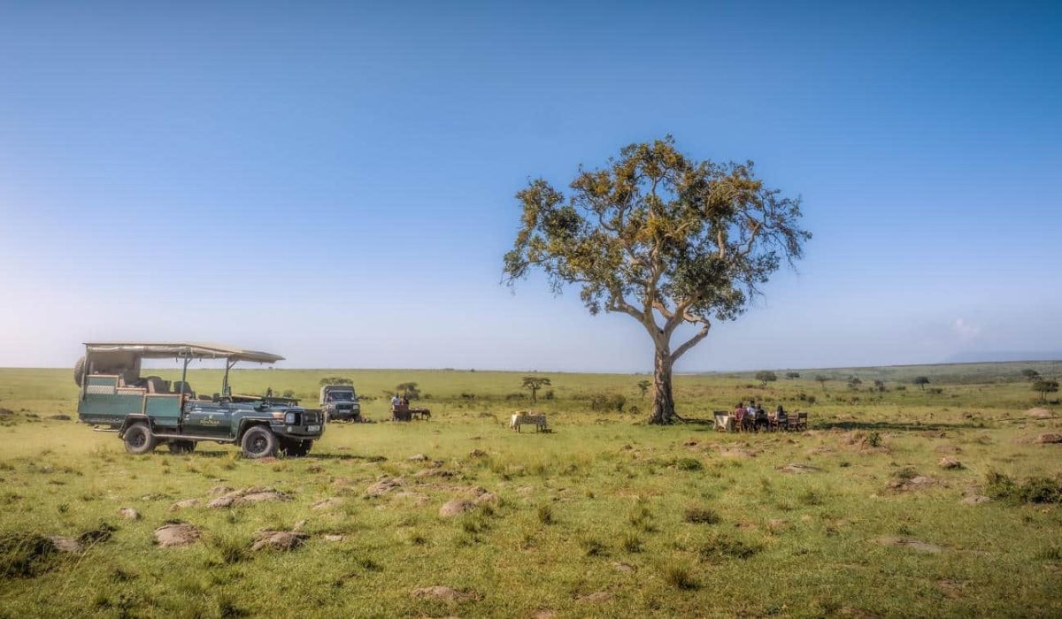 Elephant Pepper Camp