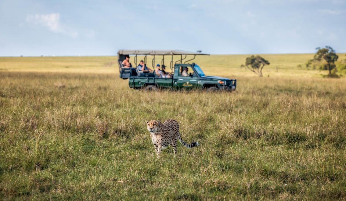 Elephant Pepper Camp