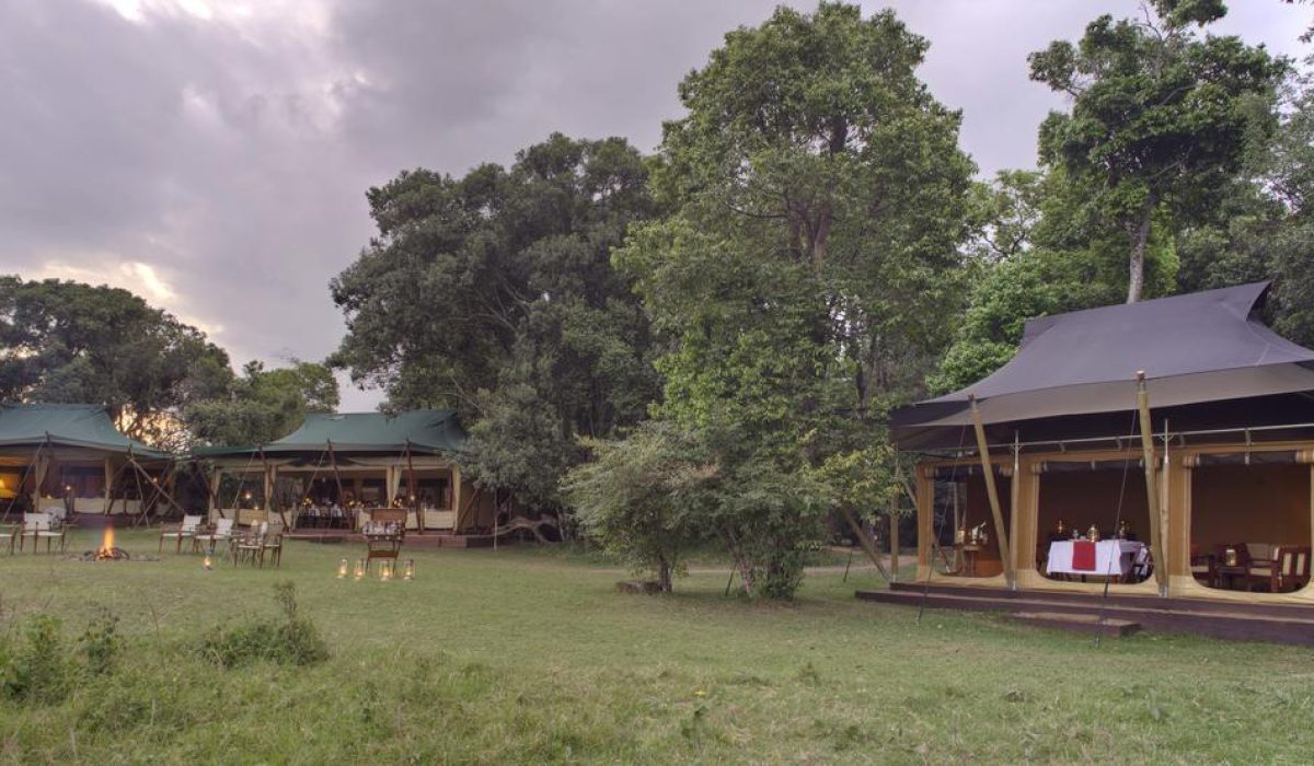 Elephant Pepper Camp