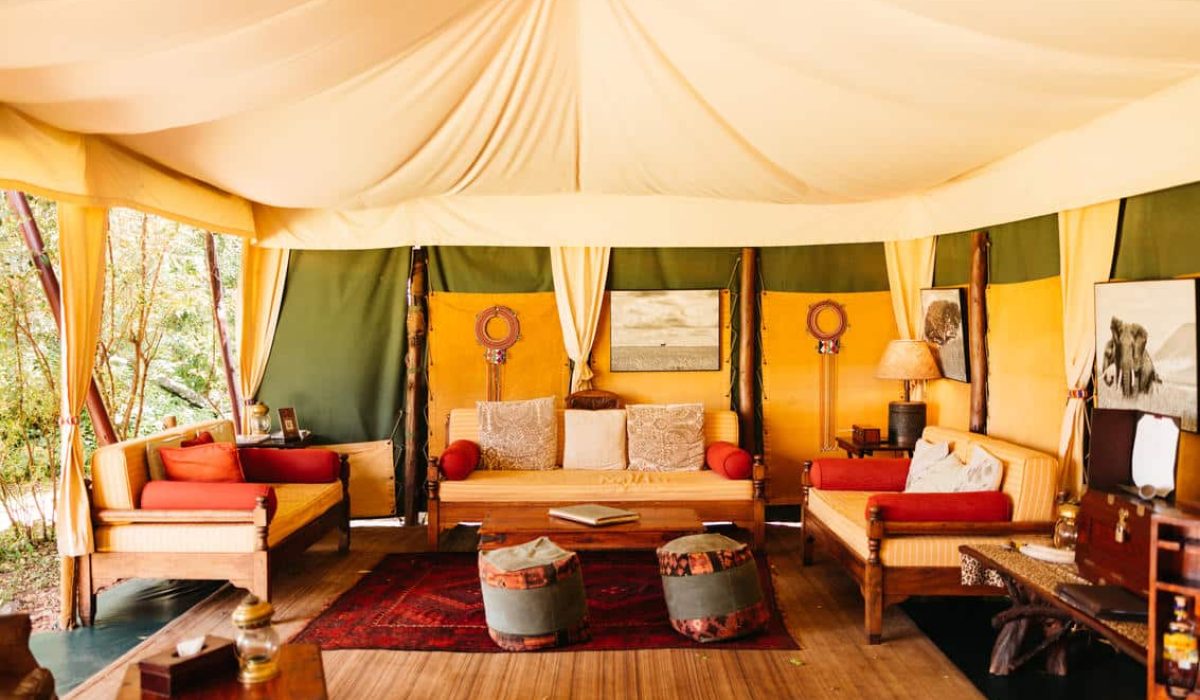 Elephant Pepper Camp