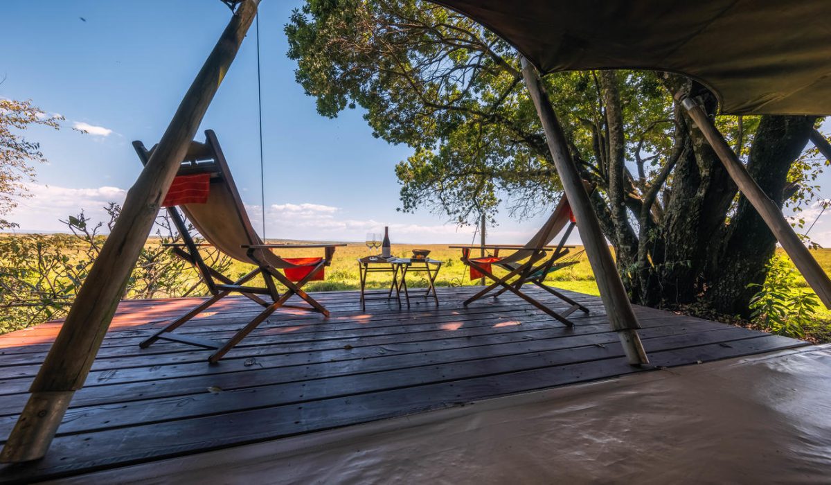 Elephant Pepper Camp