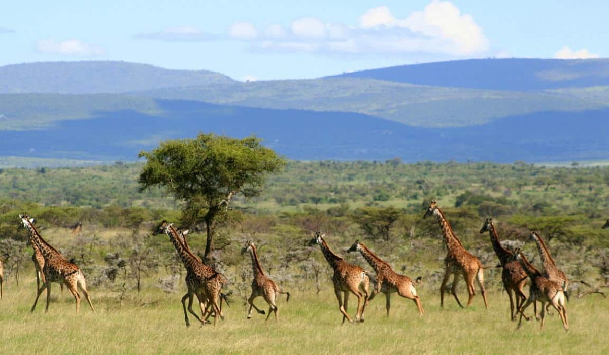 Encounter Mara Camp