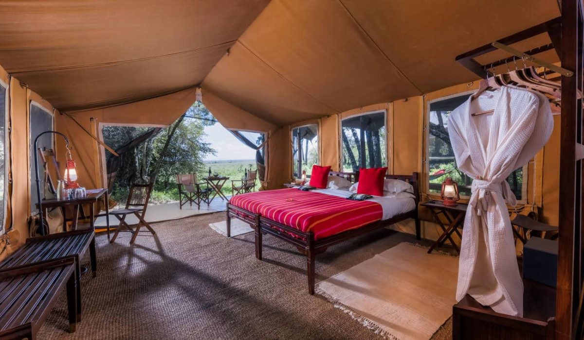 Elephant Pepper Camp