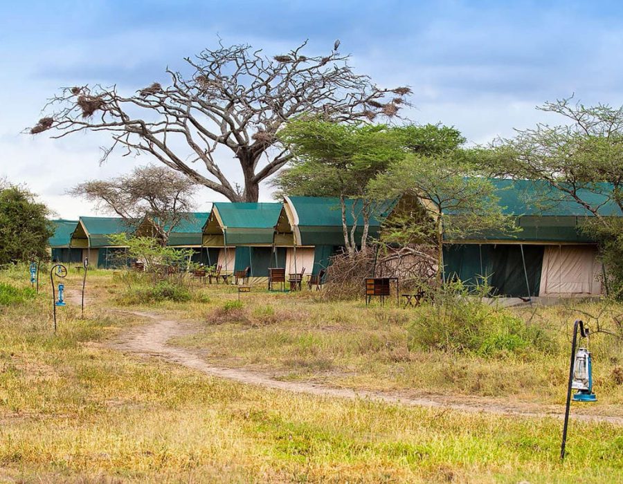 Nasikia Mobile Migration Camp